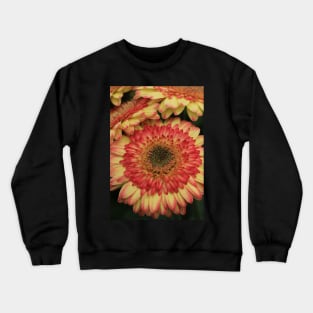 Gerbera in bewegung Crewneck Sweatshirt